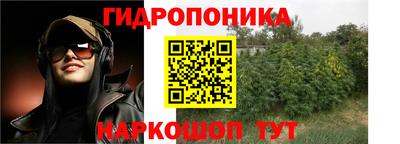 дживик Сочи