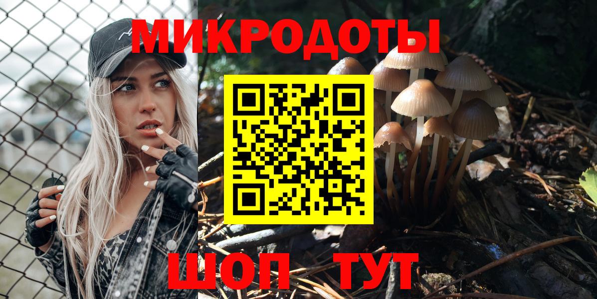 Галлюциногенные грибы Cubensis Вольск