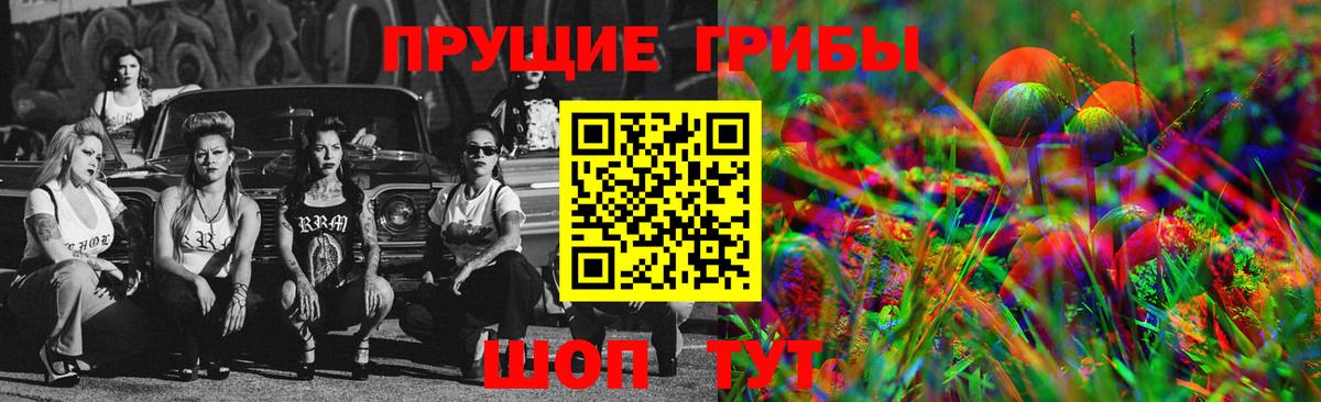 Псилоцибиновые грибы Cubensis  Вход с VPN  Вольск 